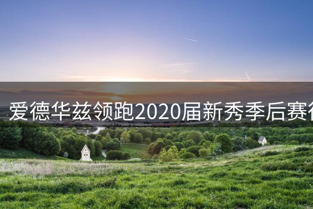 爱德华兹领跑2020届新秀季后赛得分榜 超马克西355分强势登顶